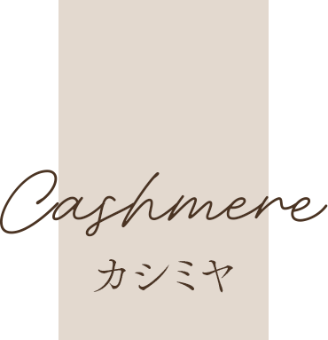 カシミヤ