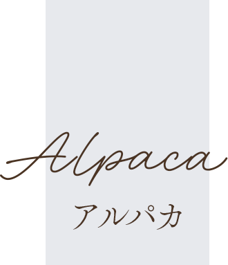 アルパカ