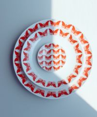 蝶シリーズ