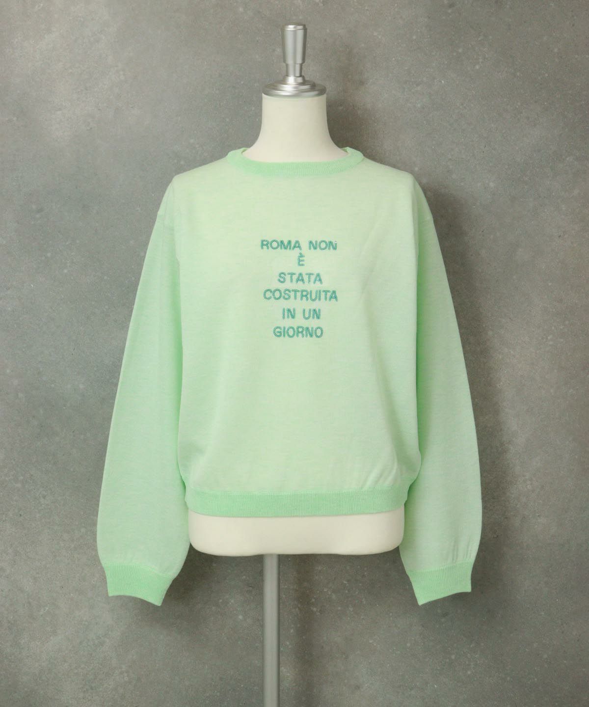 スパンコール刺繍ニット（ライトグリーン）