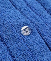 ボタン部分（ブルー）