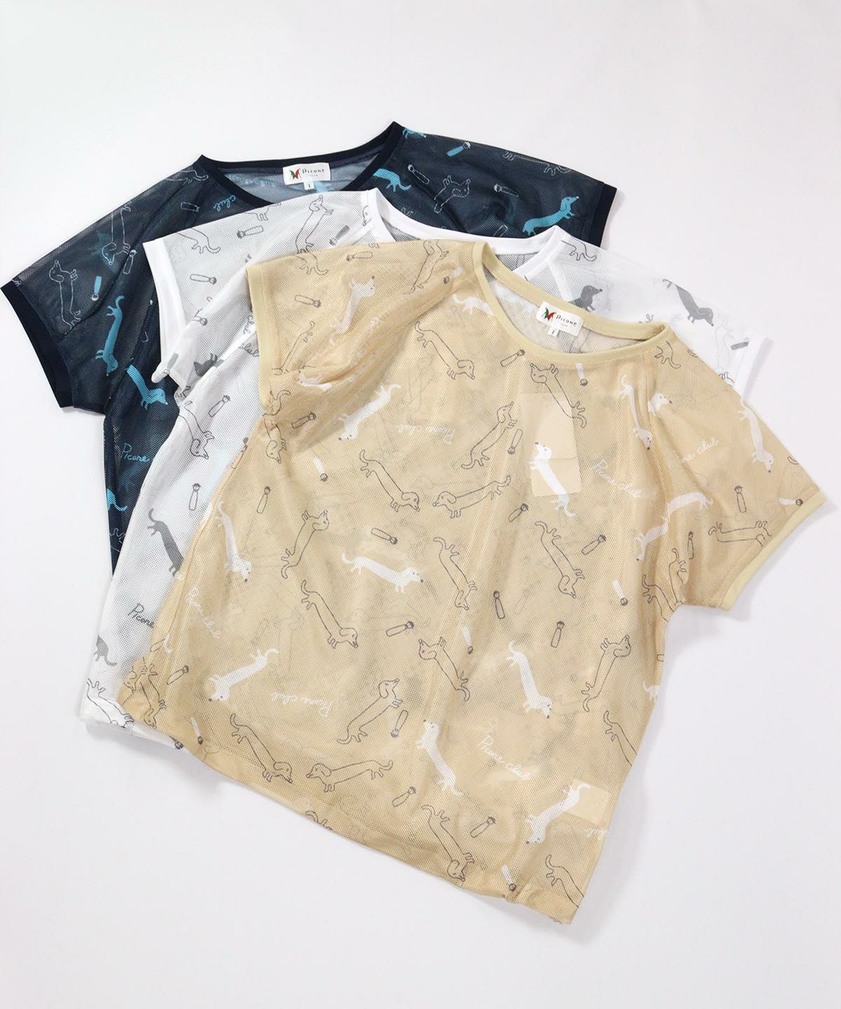 カラーバリエーション