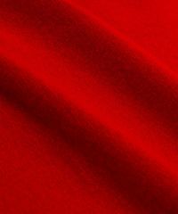生地感(レッド)