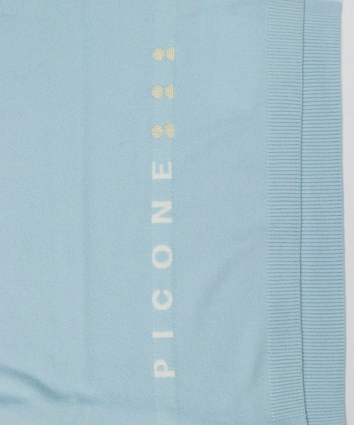 ロゴデザイン部分（ライトブルー）